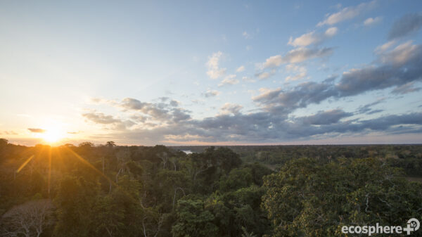 Tambopata-Bahuaja-Biodiversitätsreservat - Peru - Image 2