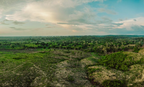 Keo Seima Wildlife Sanctuary - Kambodscha - Image 4
